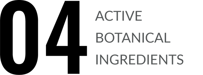 Amelior - 4 Active Botanical Ingredients | LIFE ROOTS